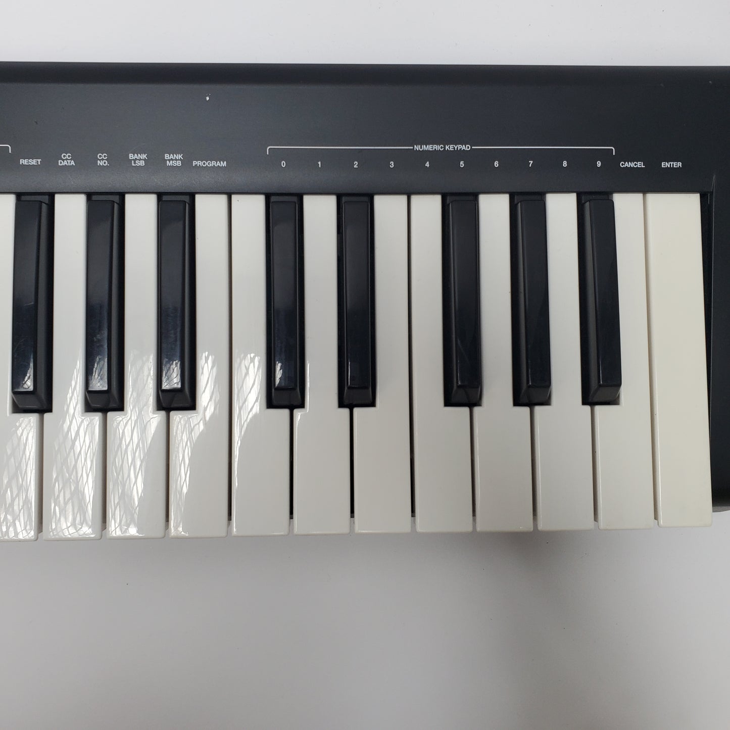 Alesis Q49 USB-MIDI Keyboard Controller